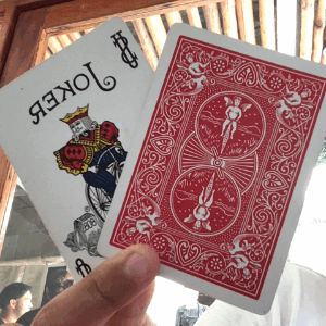 Foto de perfil de Asaf Vega