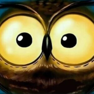 Foto de perfil de Paco LM